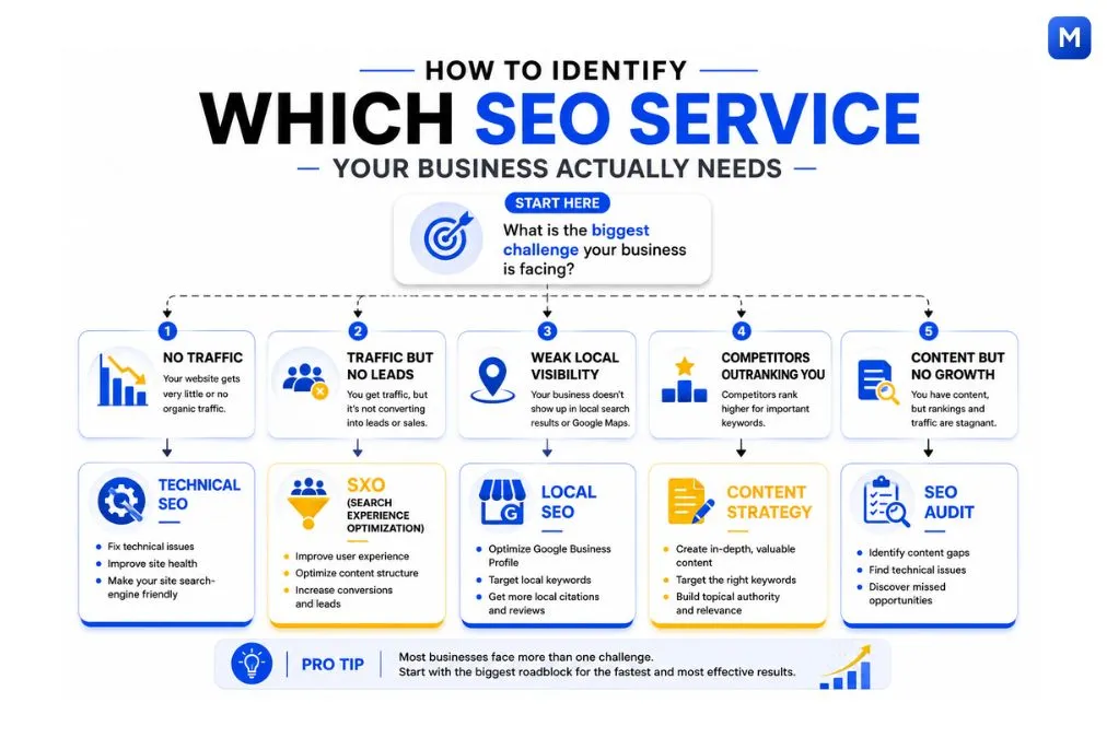 How to identify which SEO service your business actually needs infographic