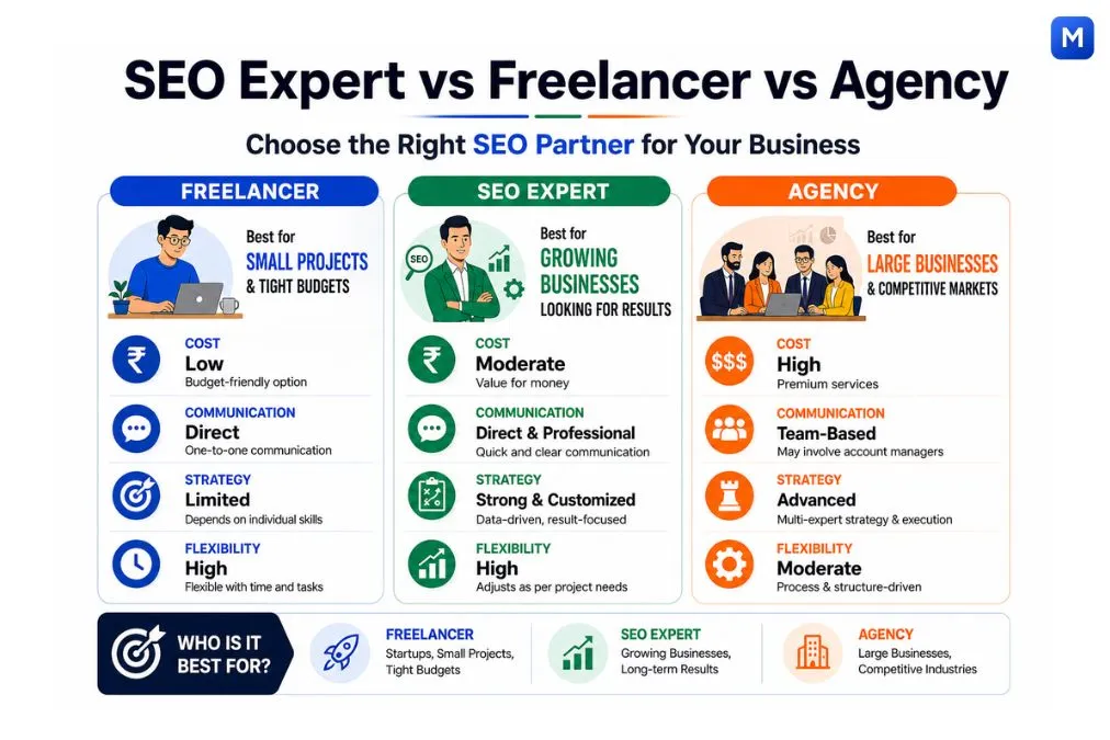 SEO expert vs freelancer vs agency comparison infographic for choosing the right SEO partner